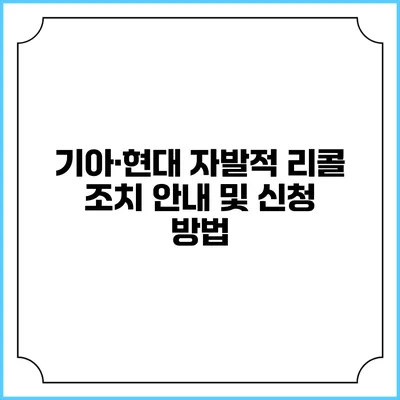 기아·현대 자발적 리콜 조치 안내 및 신청 방법