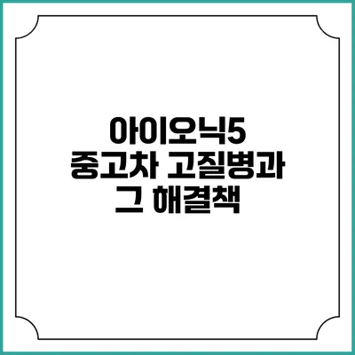아이오닉5 중고차 고질병과 그 해결책