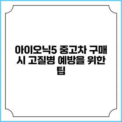 아이오닉5 중고차 구매 시 고질병 예방을 위한 팁