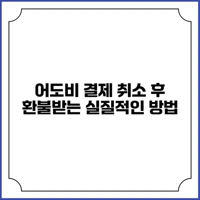 어도비 결제 취소 후 환불받는 실질적인 방법
