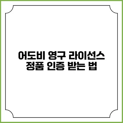 어도비 영구 라이선스 정품 인증 받는 법