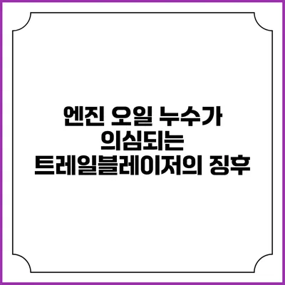 엔진 오일 누수가 의심되는 트레일블레이저의 징후