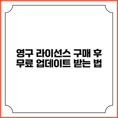 영구 라이선스 구매 후 무료 업데이트 받는 법