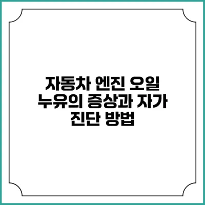 자동차 엔진 오일 누유의 증상과 자가 진단 방법