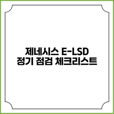 제네시스 E-LSD 정기 점검 체크리스트