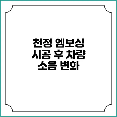 천정 엠보싱 시공 후 차량 소음 변화