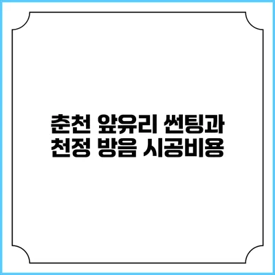 춘천 앞유리 썬팅과 천정 방음 시공비용