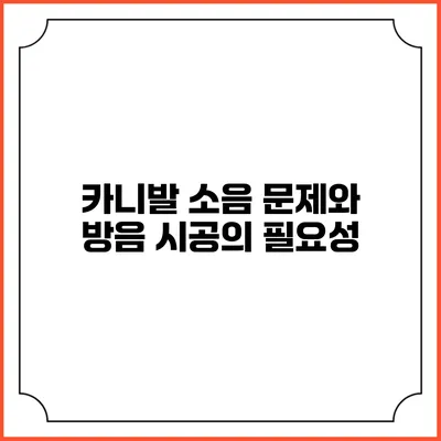 카니발 소음 문제와 방음 시공의 필요성