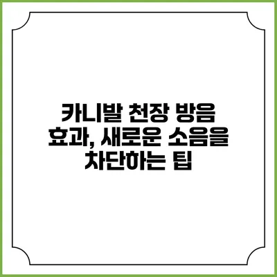 카니발 천장 방음 효과, 새로운 소음을 차단하는 팁