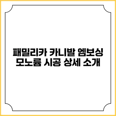 패밀리카 카니발 엠보싱 모노륨 시공 상세 소개