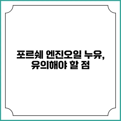 포르쉐 엔진오일 누유, 유의해야 할 점